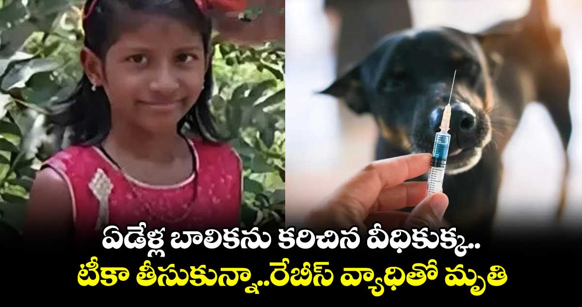 ఏడేళ్ల బాలికను కరిచిన వీధికుక్క..టీకా తీసుకున్నా..రేబీస్ వ్యాధితో మృతి