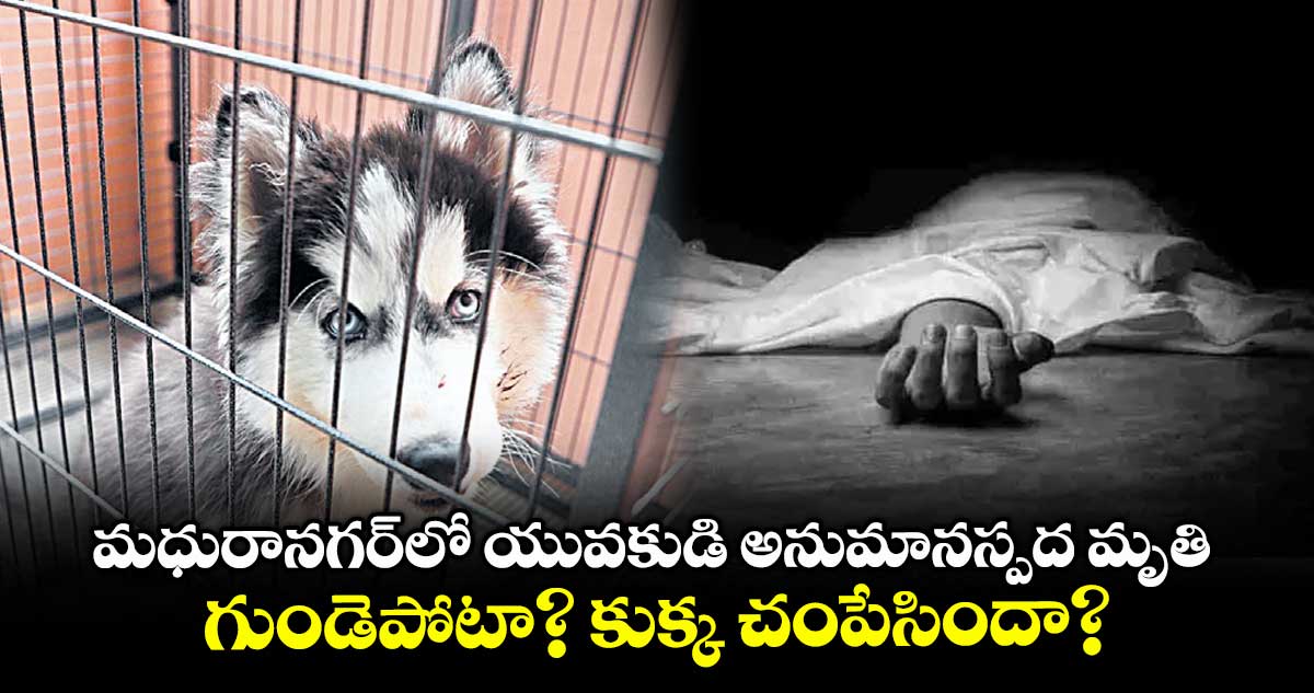 మధురానగర్ లో యువకుడి అనుమానస్పద మృతి.. గుండెపోటా? కుక్క చంపేసిందా?