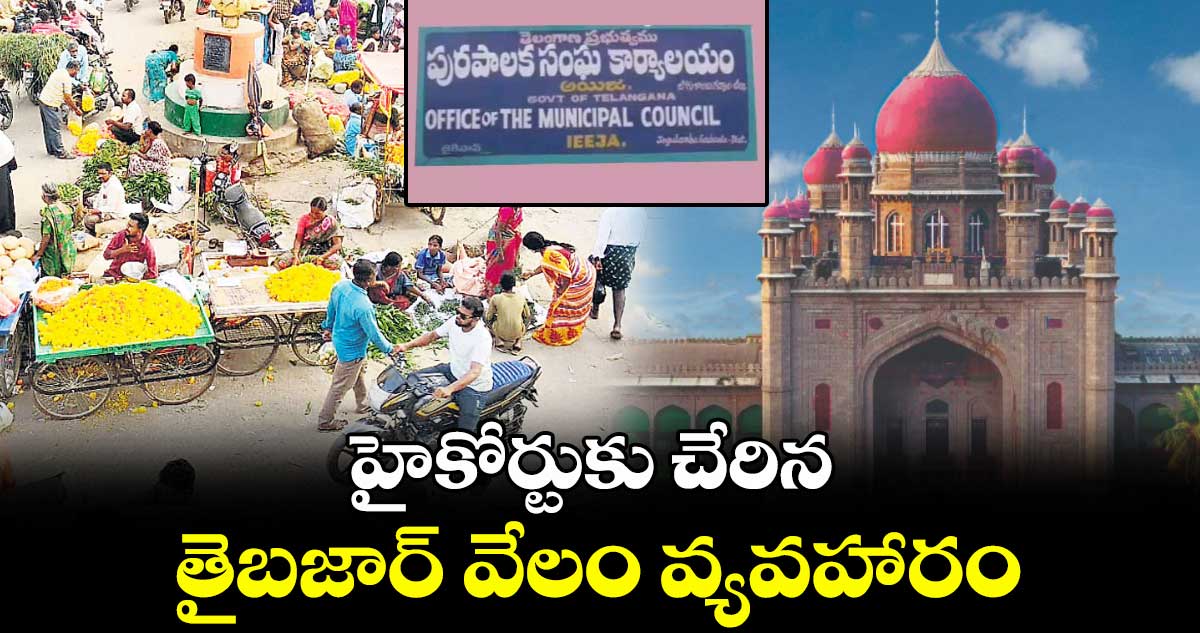 హైకోర్టుకు చేరిన తైబజార్ వేలం వ్యవహారం