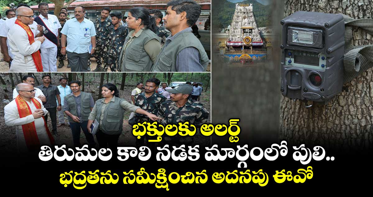భక్తులకు అలర్ట్: తిరుమల కాలి నడక మార్గంలో పులి.. భద్రతను సమీక్షించిన అదనపు ఈవో