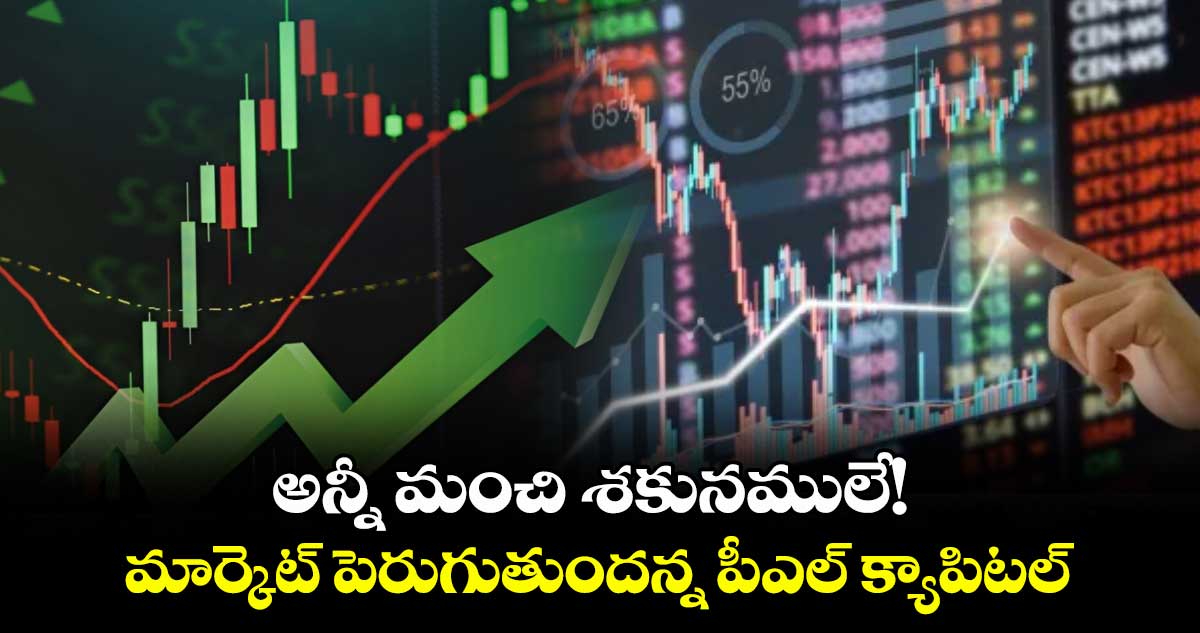 అన్నీ మంచి శకునములే! మార్కెట్ పెరుగుతుందన్న పీఎల్ క్యాపిటల్