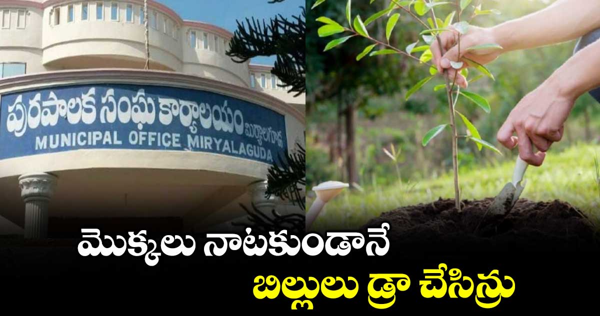 మొక్కలు నాటకుండానే బిల్లులు డ్రా చేసిన్రు