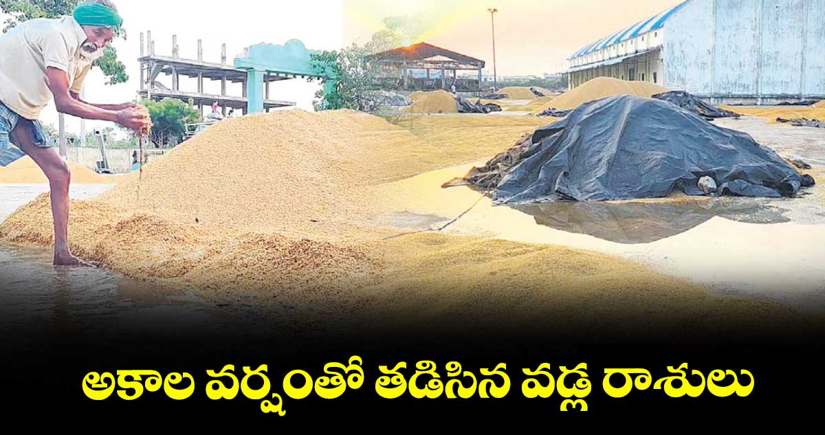 అకాల వర్షంతో తడిసిన వడ్ల రాశులు