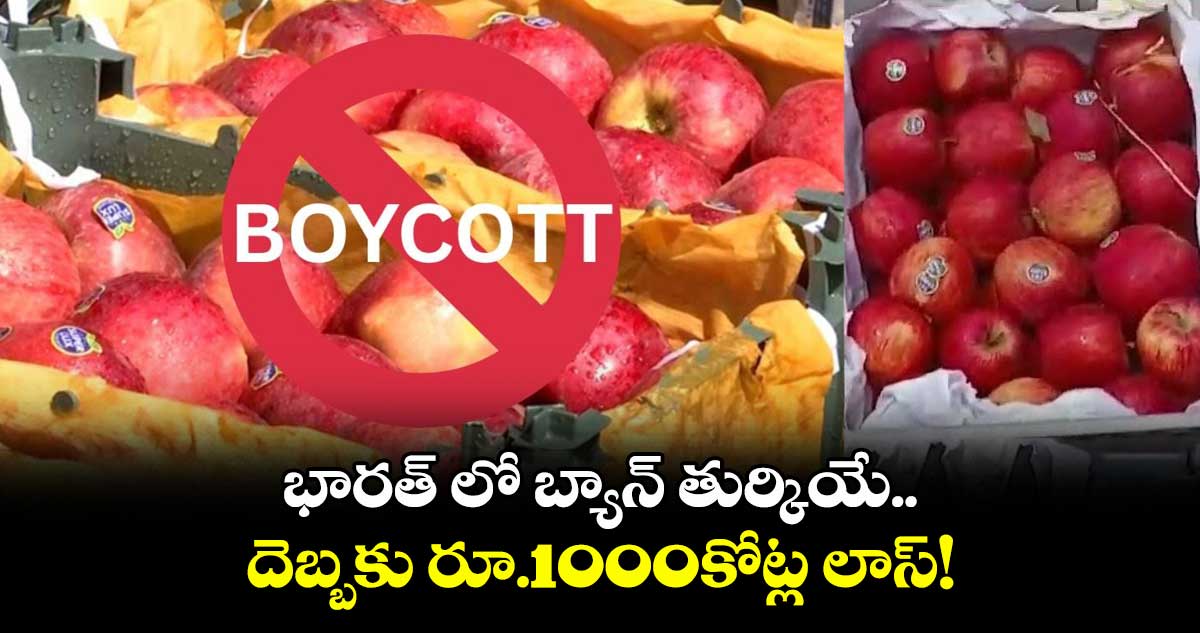 భారత్ లో బ్యాన్ తుర్కియే.. దెబ్బకు రూ.1000కోట్ల లాస్!