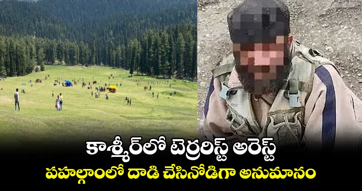 కాశ్మీర్లో టెర్రరిస్ట్ అరెస్ట్: పహల్గాంలో దాడి చేసినోడిగా అనుమానం