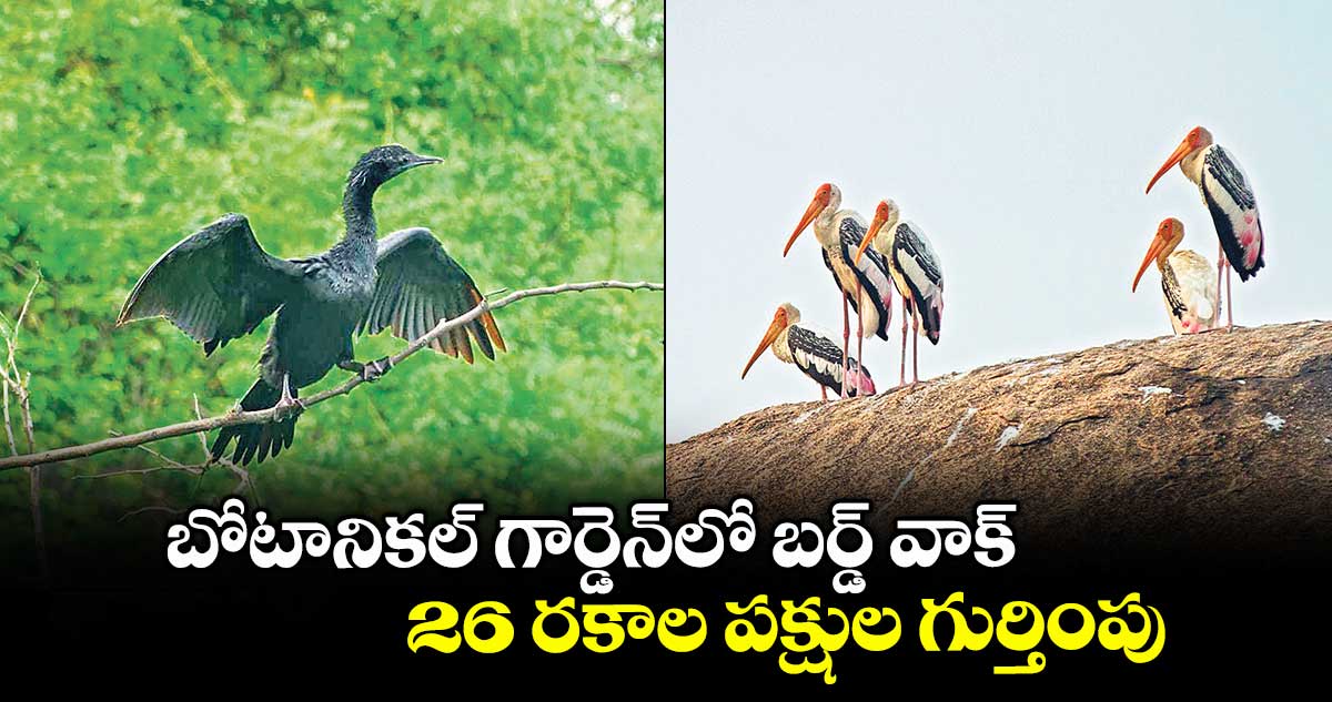 బోటానికల్ గార్డెన్లో బర్డ్ వాక్..26 రకాల పక్షుల గుర్తింపు
