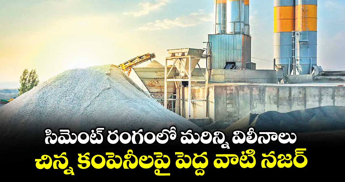 సిమెంట్ రంగంలో మరిన్ని విలీనాలు.. చిన్న కంపెనీలపై పెద్ద వాటి నజర్
