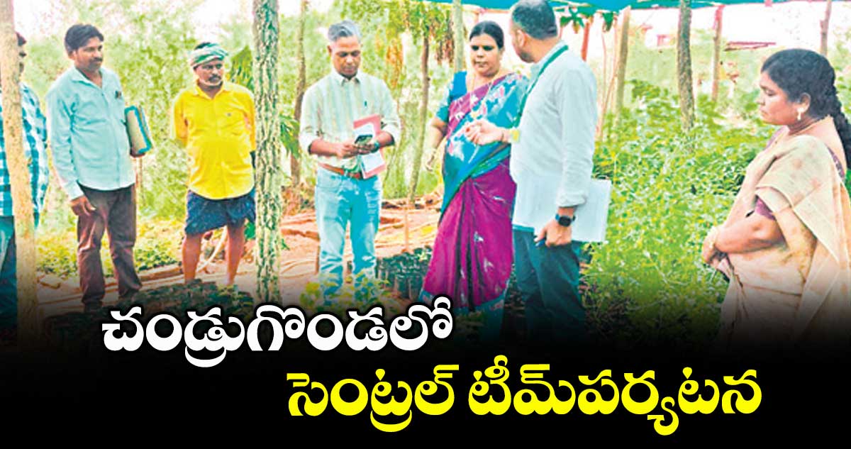 చండ్రుగొండలో సెంట్రల్ టీమ్పర్యటన
