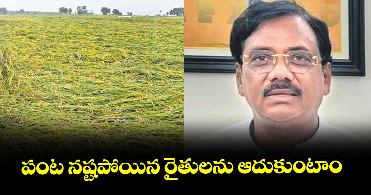 పంట నష్టపోయిన రైతులను ఆదుకుంటాం : ఎమ్మెల్యే వివేక్ వెంకటస్వామి