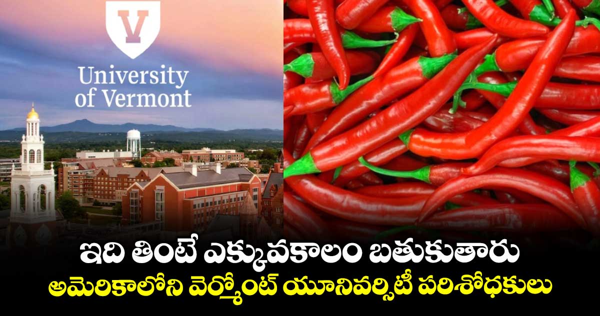 Good Health: ఇది తింటే ఎక్కువకాలం బతుకుతారు...అమెరికాలోని వెర్మోంట్ యూనివర్సిటీ పరిశోధకులు