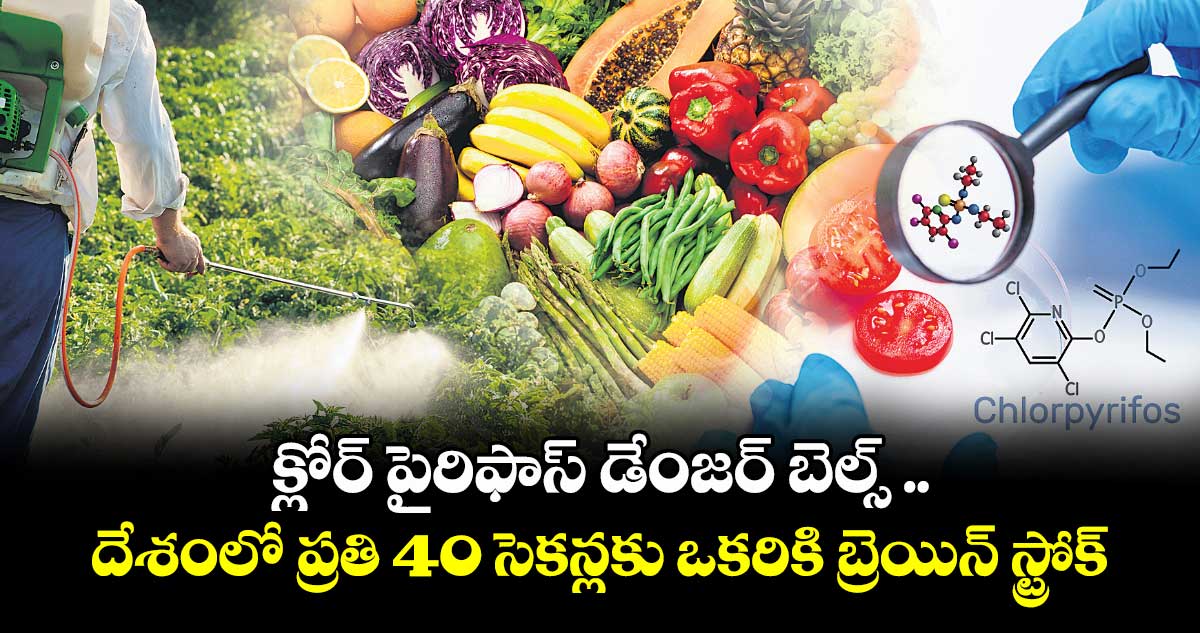 క్లోర్​ పైరిఫాస్ డేంజర్​ బెల్స్​ .. దేశంలో ప్రతి 40 సెకన్లకు ఒకరికి బ్రెయిన్​ స్ట్రోక్