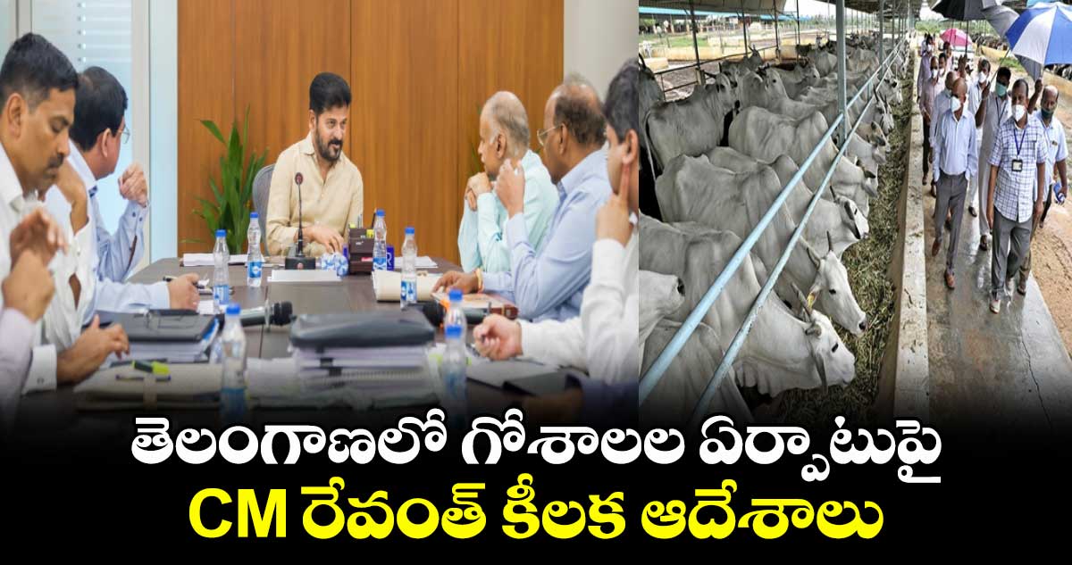 తెలంగాణలో గోశాలల ఏర్పాటుపై CM రేవంత్ కీలక ఆదేశాలు