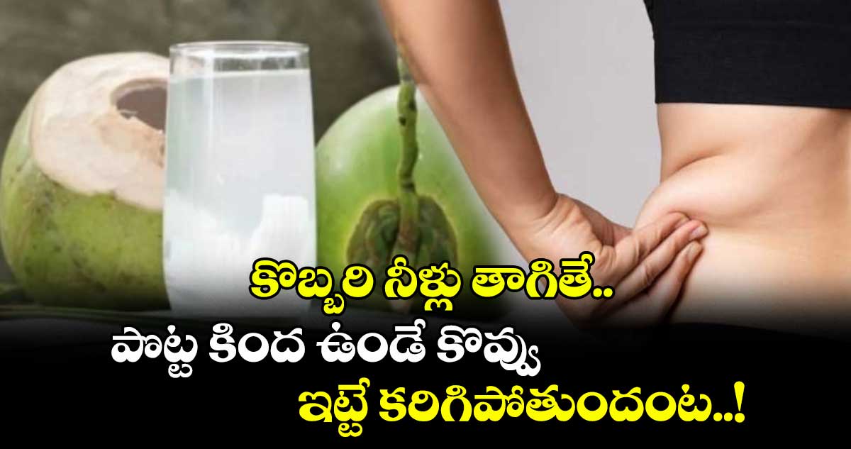 Good Health : కొబ్బరి నీళ్లు తాగితే.. పొట్ట కింద ఉండే కొవ్వు ఇట్టే కరిగిపోతుందంట..!