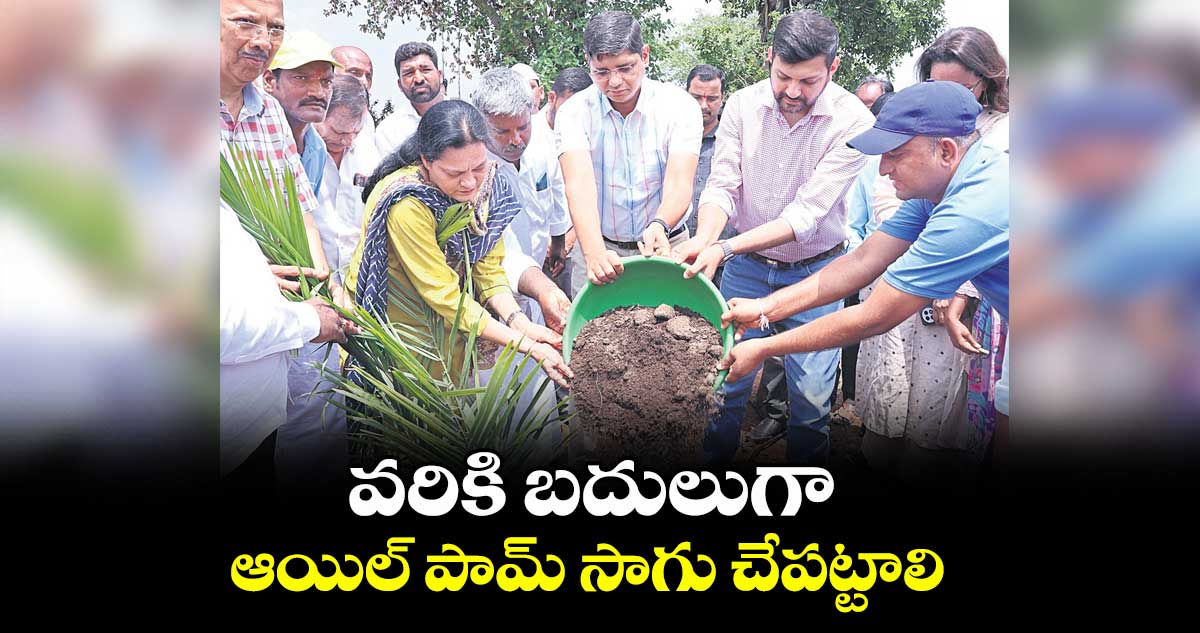 వరికి బదులుగా ఆయిల్ పామ్ సాగు చేపట్టాలి : కలెక్టర్ ఆశిష్ సంగ్వాన్