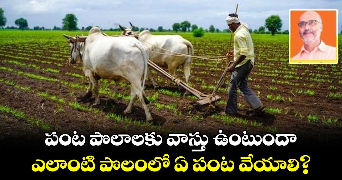Vastu tips: పంట పొలాలకు వాస్తు ఉంటుందా.. ఎలాంటి పొలంలో ఏ పంట వేయాలి?
