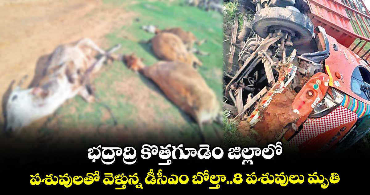 భద్రాద్రి కొత్తగూడెం జిల్లాలో పశువులతో వెళ్తున్న డీసీఎం బోల్తా..8 పశువులు మృతి