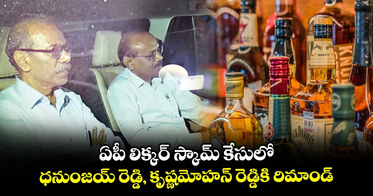 ఏపీ లిక్కర్ స్కామ్ కేసులో ధనుంజయ్ రెడ్డి, కృష్ణమోహన్ రెడ్డికి రిమాండ్