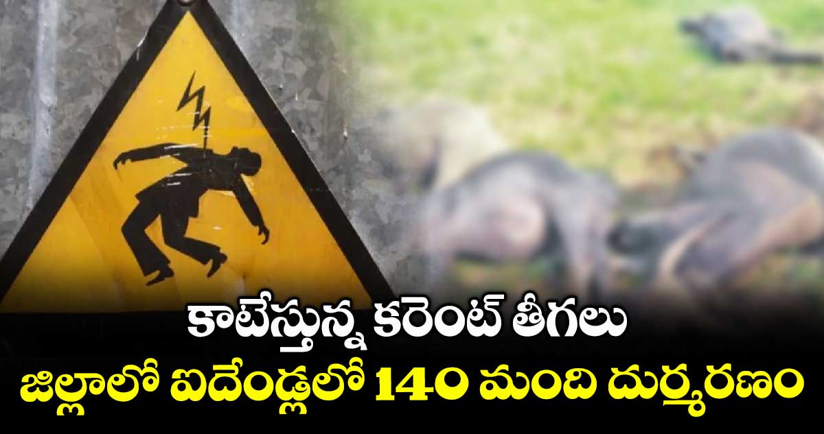 కాటేస్తున్న కరెంట్ తీగలు.. జిల్లాలో ఐదేండ్లలో 140 మంది దుర్మరణం