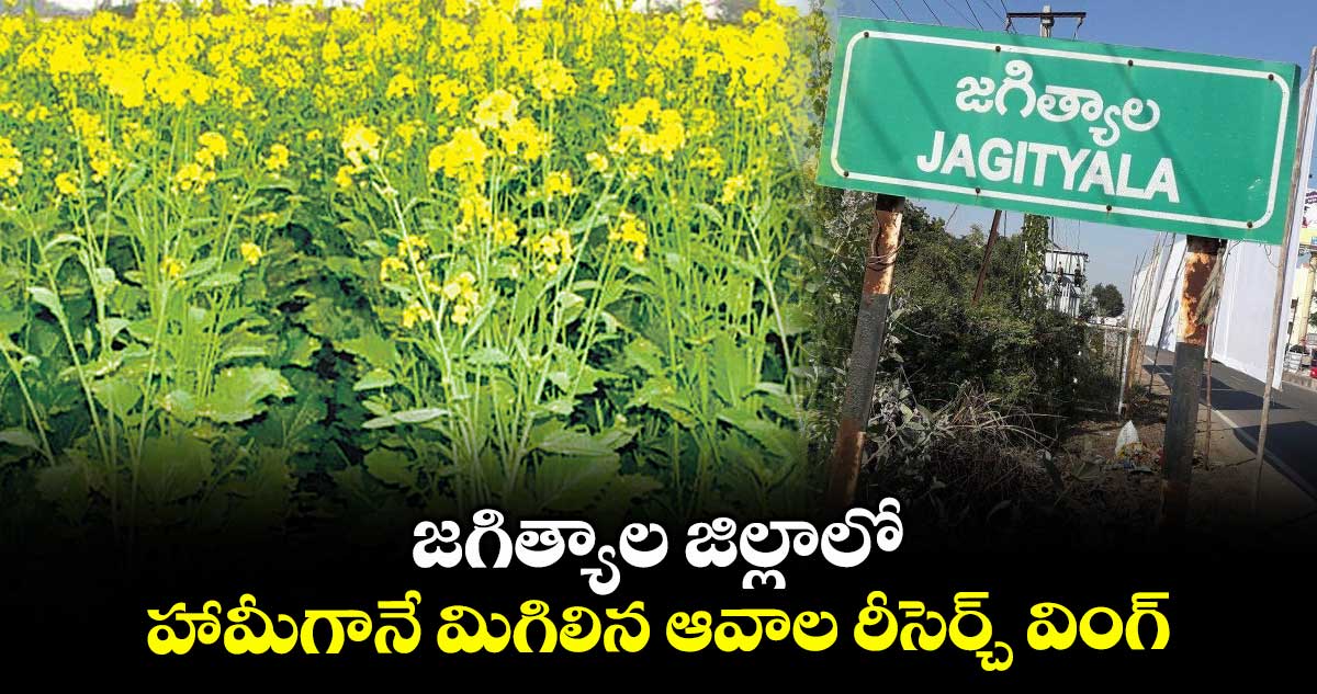 జగిత్యాల జిల్లాలో హామీగానే మిగిలిన ఆవాల రీసెర్చ్ వింగ్