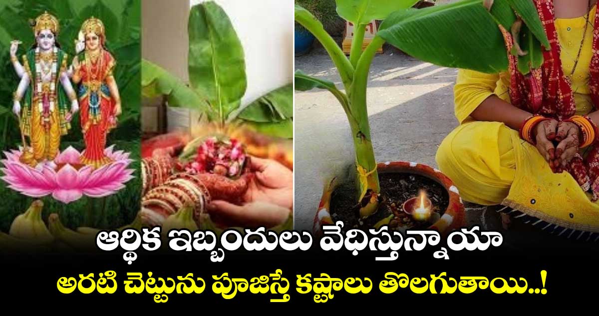 ఆధ్యాత్మికం: ఆర్థిక ఇబ్బందులు వేధిస్తున్నాయా.. అరటి చెట్టును పూజిస్తే కష్టాలు తొలగుతాయి..!