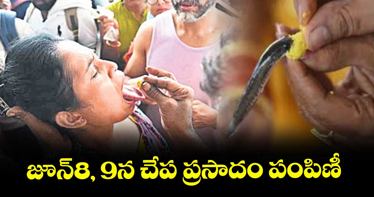 జూన్ ​8, 9న హైదరాబాద్ లో చేప ప్రసాదం పంపిణీ