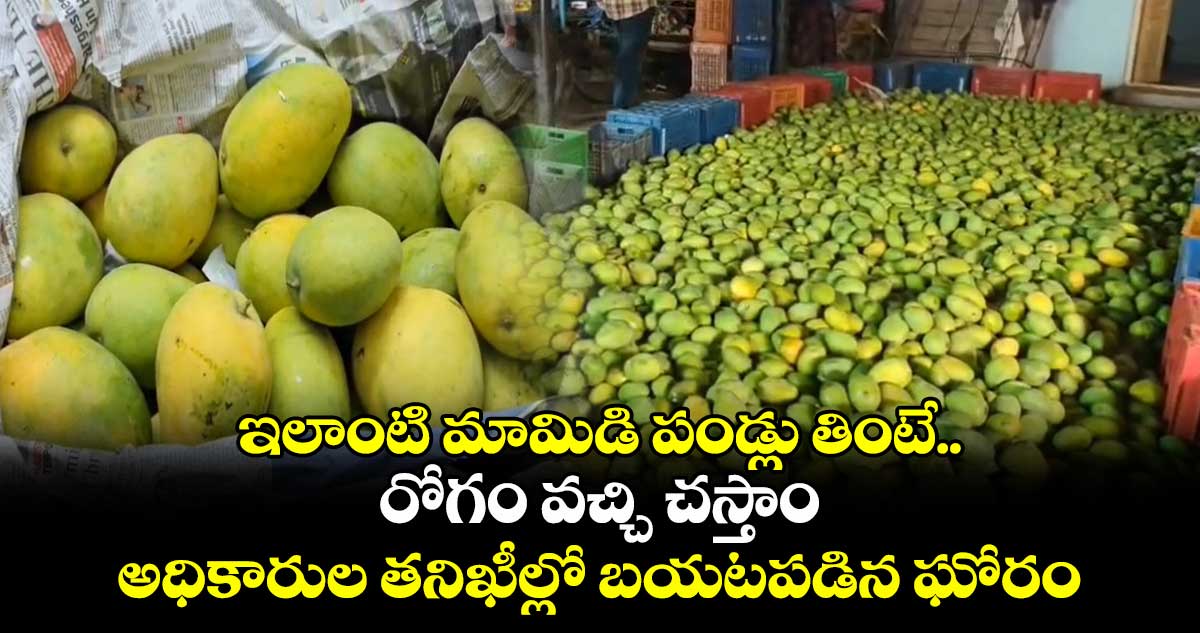 ఇలాంటి మామిడి పండ్లు తింటే.. రోగం వచ్చి చస్తాం : అధికారుల తనిఖీల్లో బయటపడిన ఘోరం