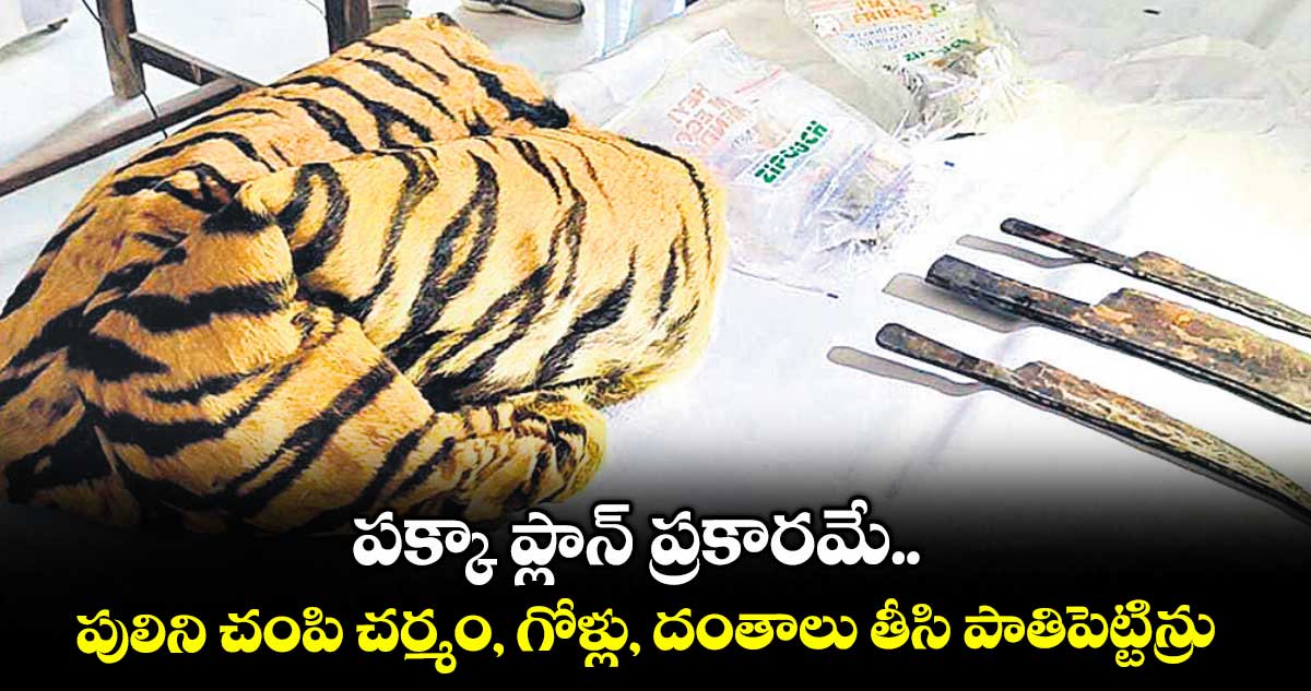 పక్కా ప్లాన్ ప్రకారమే.. పులిని చంపి చర్మం, గోళ్లు, దంతాలు తీసి పాతిపెట్టిన్రు : డైరెక్టర్ శాంతారాం