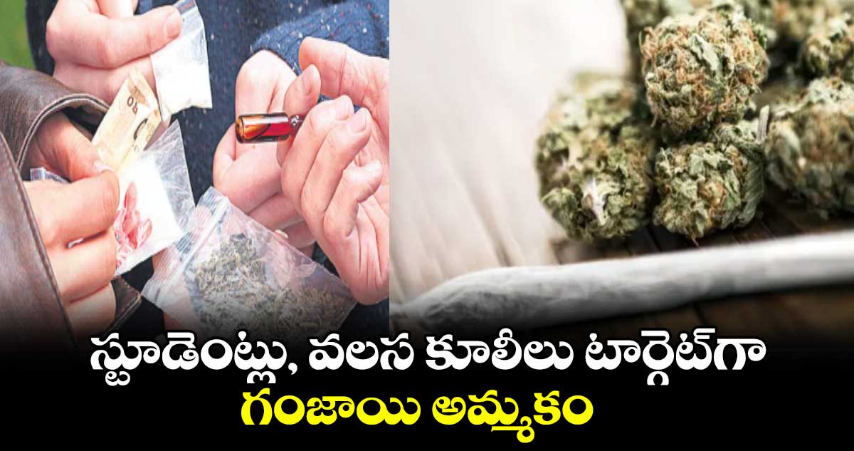 స్టూడెంట్లు, వలస కూలీలు టార్గెట్గా గంజాయి అమ్మకం