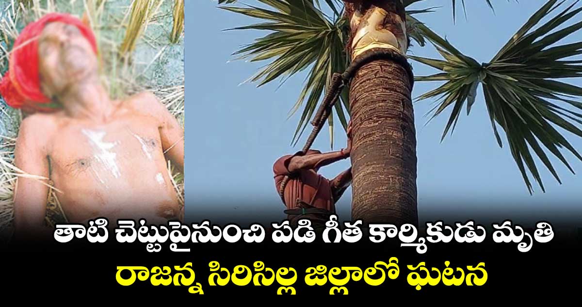 తాటి చెట్టుపైనుంచి పడి గీత కార్మికుడు మృతి.. రాజన్న సిరిసిల్ల జిల్లాలో ఘటన