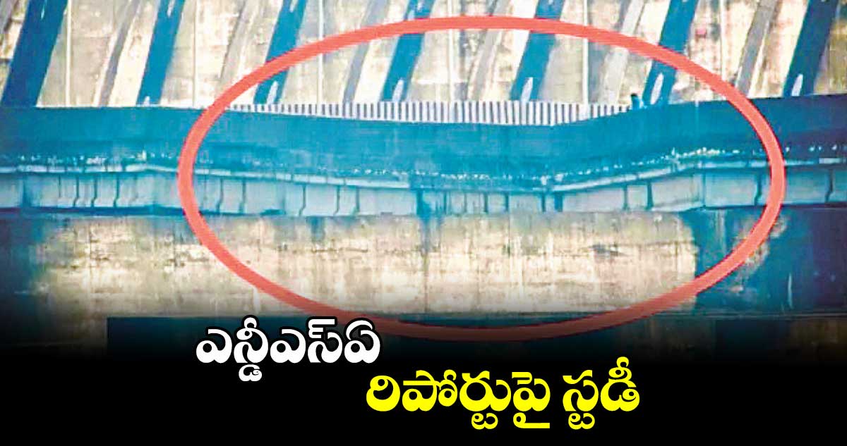 ఎన్డీఎస్ఏ రిపోర్టుపై స్టడీ