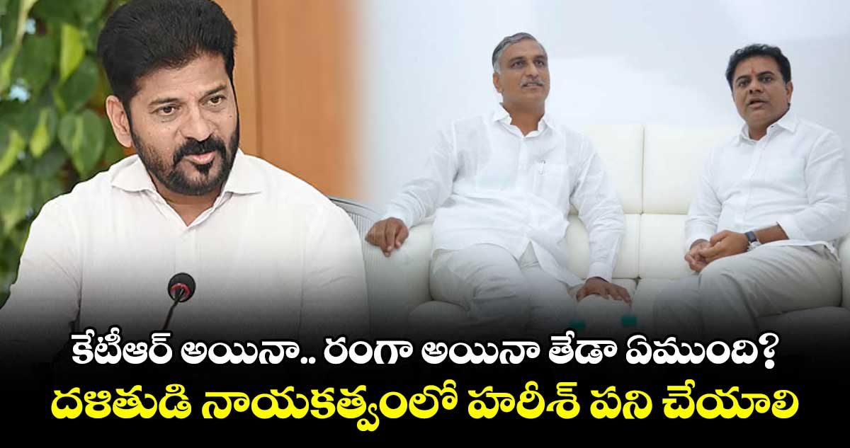 కేటీఆర్ అయినా.. రంగా అయినా తేడా ఏముంది?..దళితుడి నాయకత్వంలో హరీశ్ పని చేయాలి: సీఎం రేవంత్