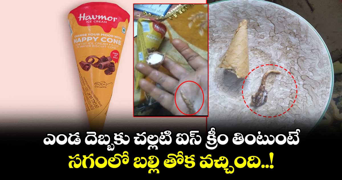 ఎండ దెబ్బకు చల్లటి ఐస్ క్రీం తింటుంటే.. సగంలో బల్లి తోక వచ్చింది..!
