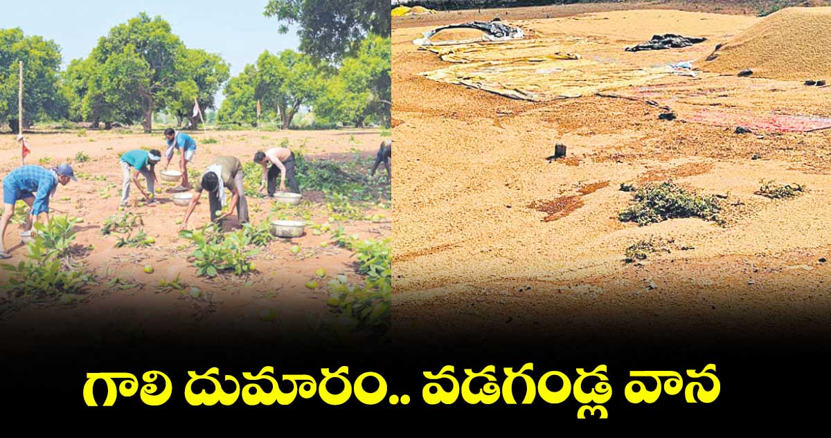 గాలి దుమారం.. వడగండ్ల వాన