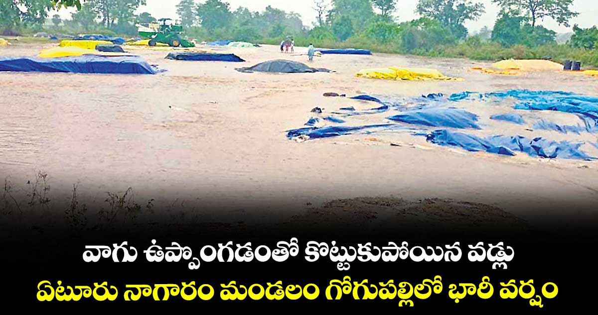 వాగు ఉప్పొంగడంతో కొట్టుకుపోయిన వడ్లు.. ఏటూరు నాగారం మండలం గోగుపల్లిలో భారీ వర్షం