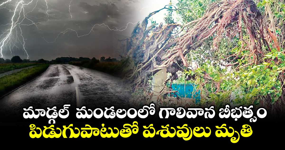 మాడ్గల్ మండలంలో గాలివాన బీభత్సం .. పిడుగుపాటుతో పశువులు మృతి