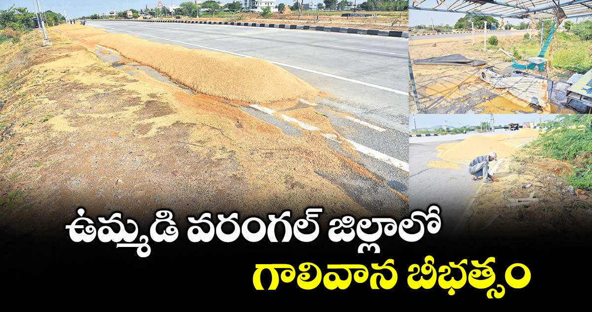 ఉమ్మడి వరంగల్ జిల్లాలో గాలివాన బీభత్సం