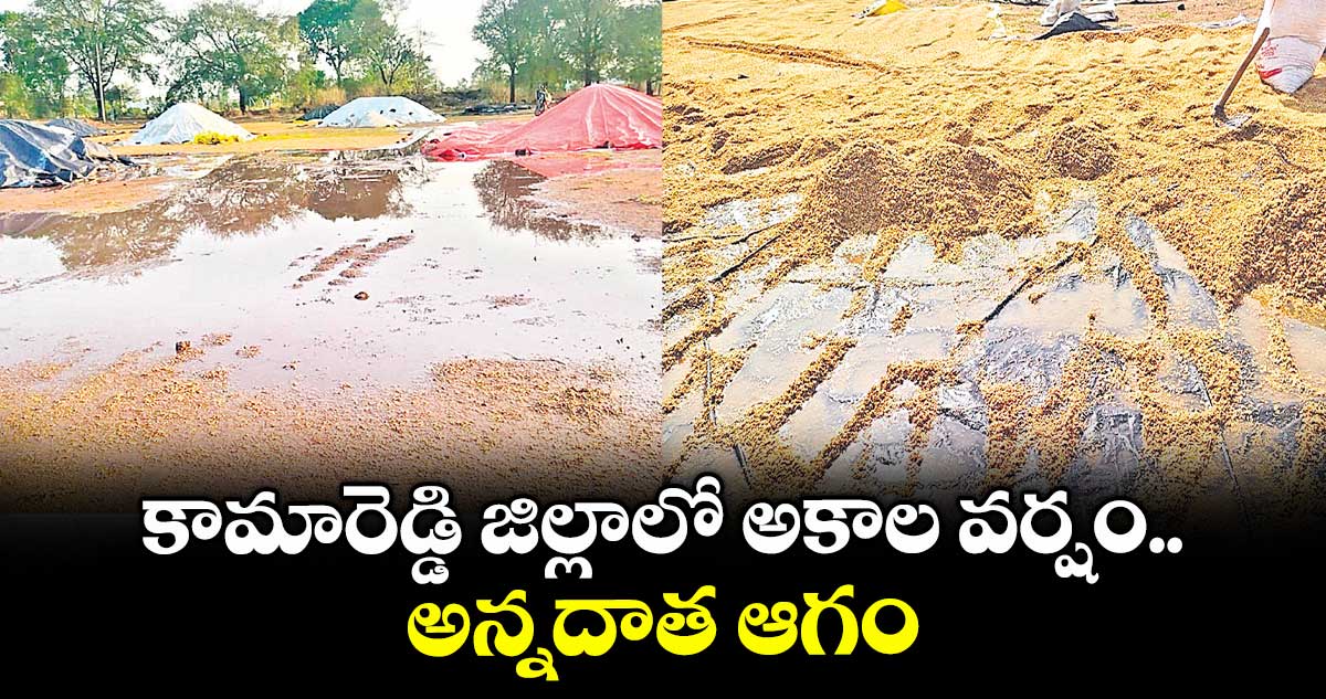 కామారెడ్డి జిల్లాలో అకాల వర్షం.. అన్నదాత ఆగం