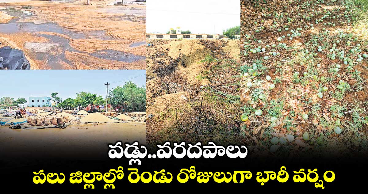 వడ్లు..వరదపాలు ..పలు జిల్లాల్లో రెండు రోజులుగా భారీ వర్షం