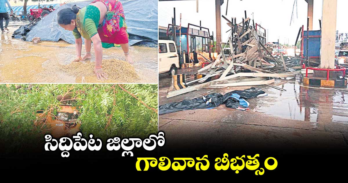 సిద్దిపేట జిల్లాలో గాలివాన బీభత్సం