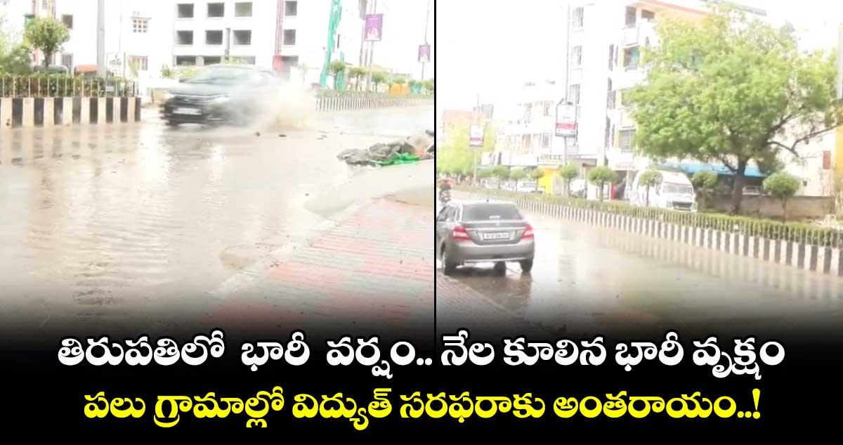 తిరుపతిలో భారీ వర్షం.. నేల కూలిన భారీ వృక్షం.. పలు గ్రామాల్లో విద్యుత్ సరఫరాకు అంతరాయం..!