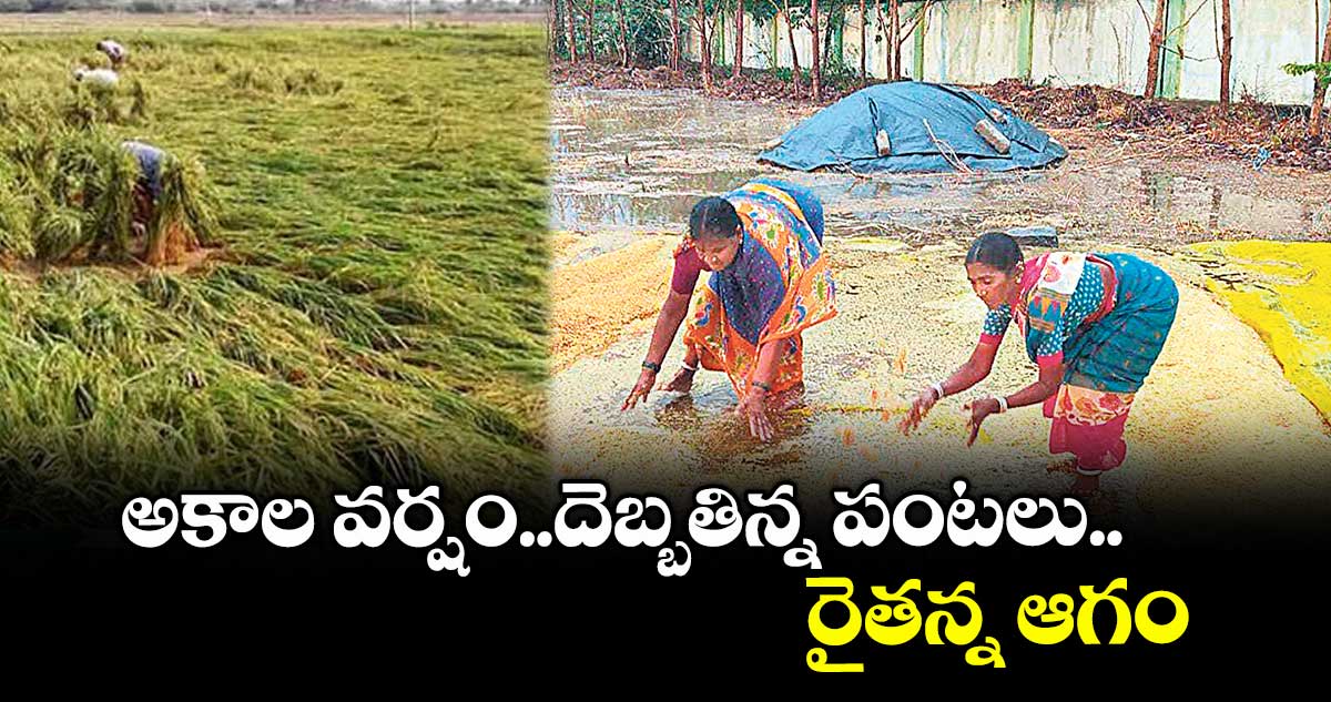 అకాల వర్షంతో దెబ్బతిన్న పంటలు..అన్నదాత ఆగం