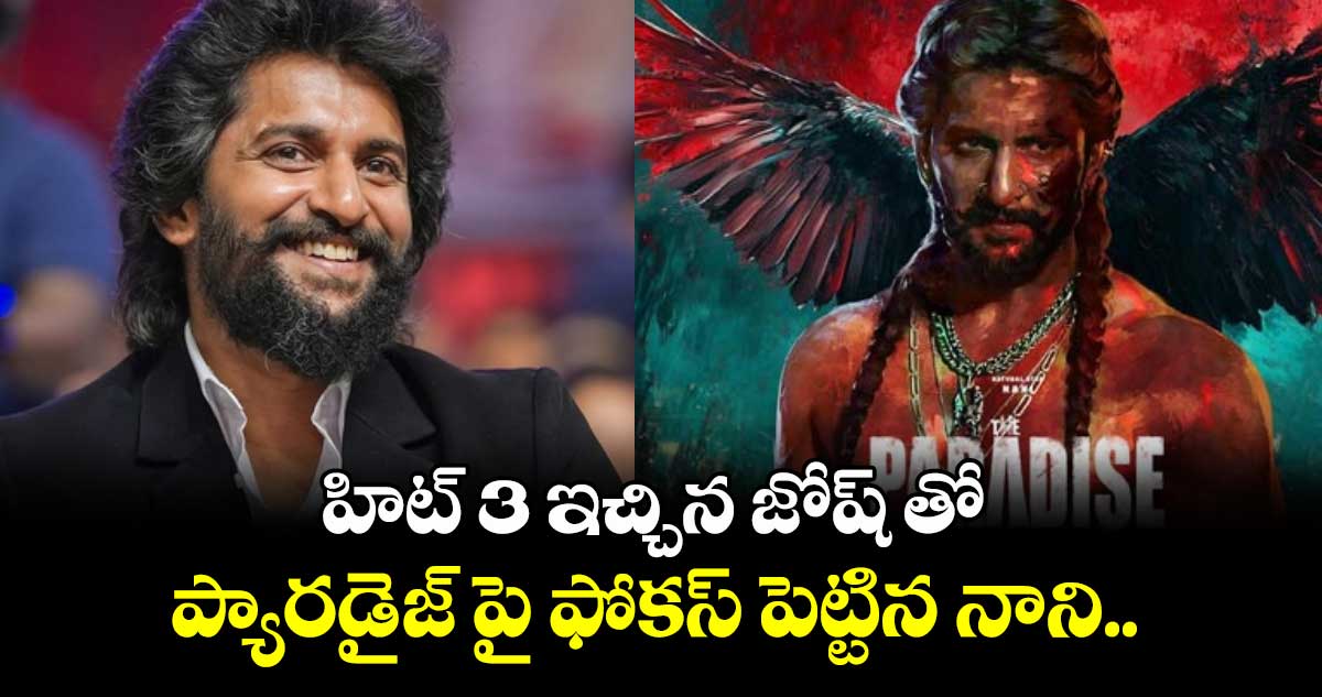 హిట్ 3 ఇచ్చిన జోష్ తో ప్యారడైజ్ పై ఫోకస్ పెట్టిన నాని..