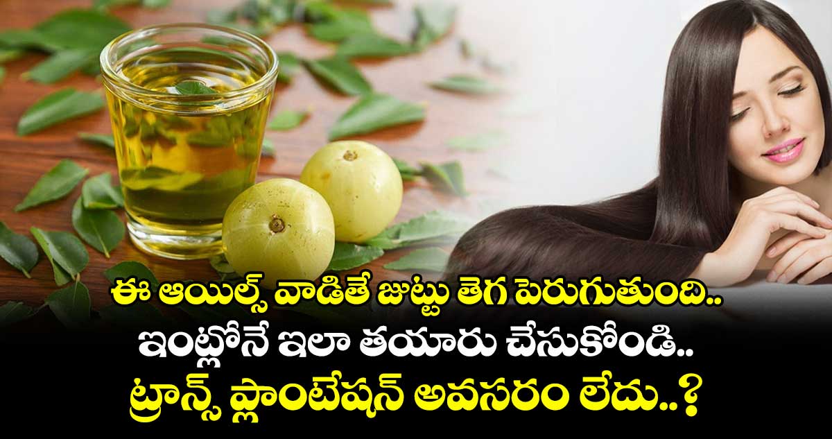 Happy News : ఈ ఆయిల్స్ వాడితే జుట్టు తెగ పెరుగుతుంది.. ఇంట్లోనే ఇలా తయారు చేసుకోండి.. ట్రాన్స్ ప్లాంటేషన్ అవసరం లేదు..?