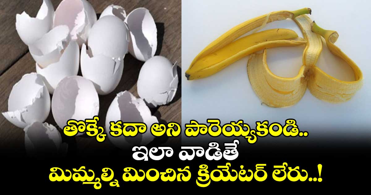 Home Hacks: తొక్కే కదా అని పారెయ్యకండి.. ఇలా వాడితే మిమ్మల్ని మించిన క్రియేటర్ లేరు..!