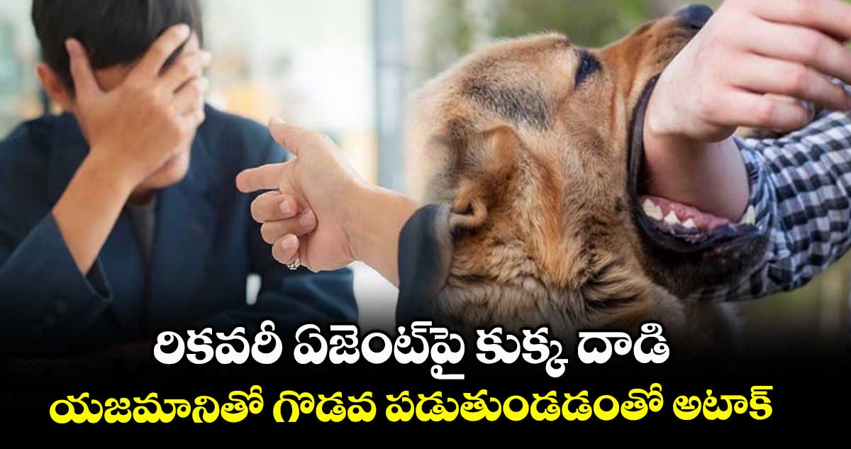 రికవరీ ఏజెంట్పై కుక్క దాడి .. యజమానితో గొడవ పడుతుండడంతో అటాక్