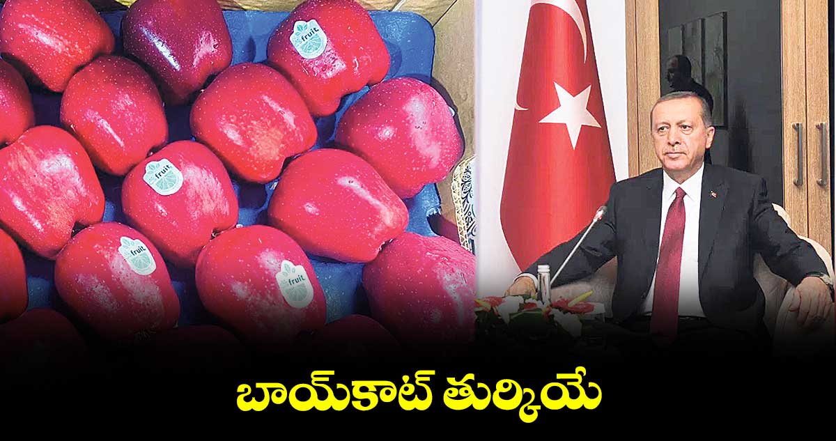 బాయ్కాట్ తుర్కియే