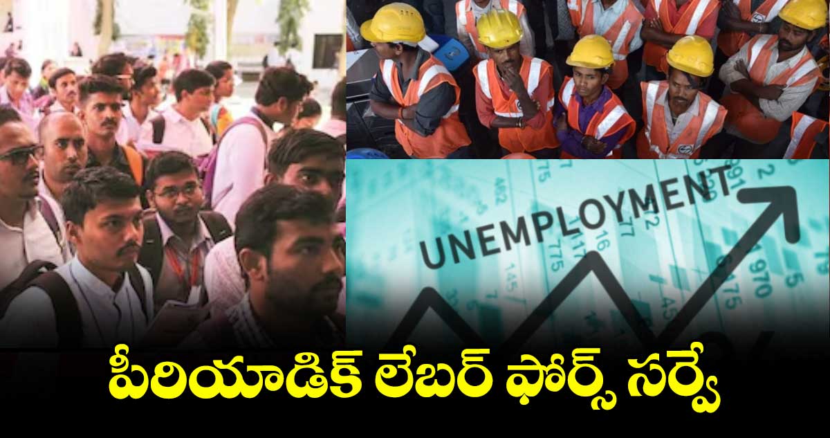 పీరియాడిక్ లేబర్ ఫోర్స్ సర్వే
