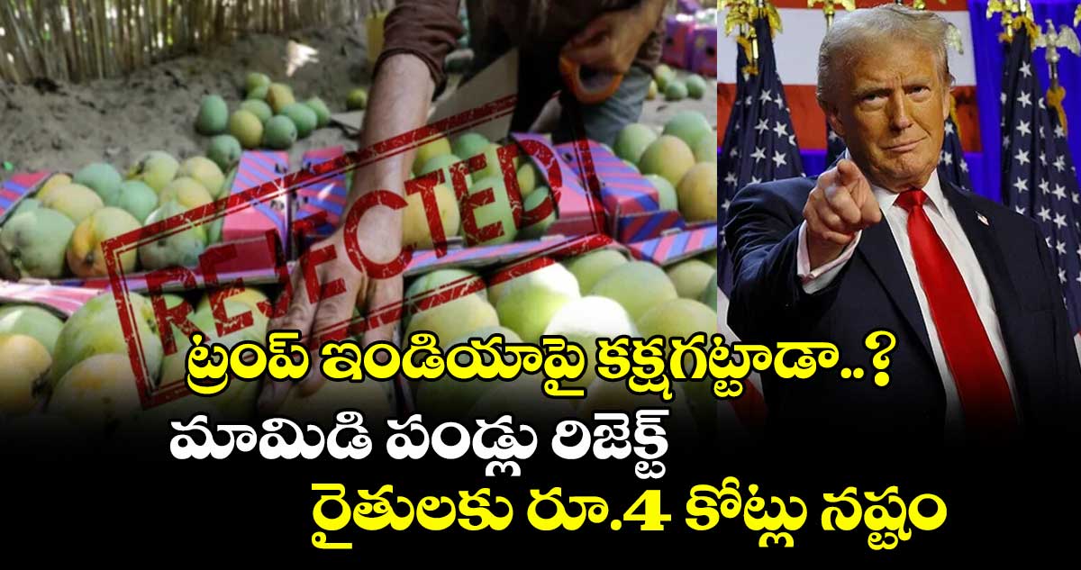ట్రంప్ ఇండియాపై కక్షగట్టాడా..? మామిడి పండ్లు రిజెక్ట్, రైతులకు రూ.4 కోట్లు నష్టం