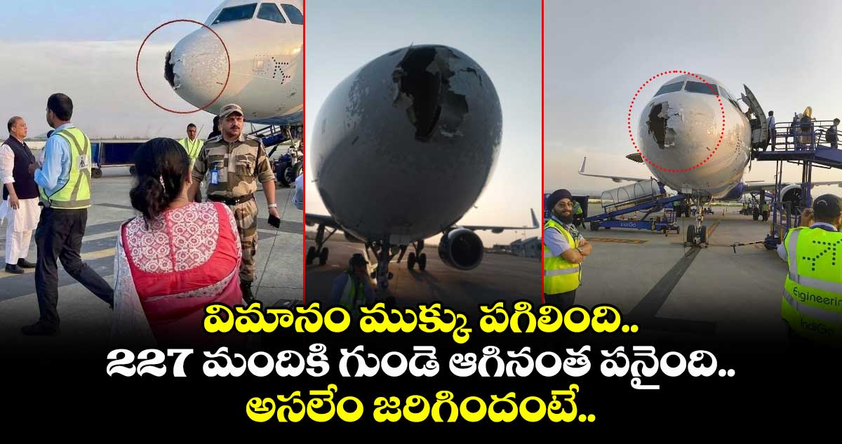 విమానం ముక్కు పగిలింది.. 227 మందికి గుండె ఆగినంత పనైంది.. అసలేం జరిగిందంటే..