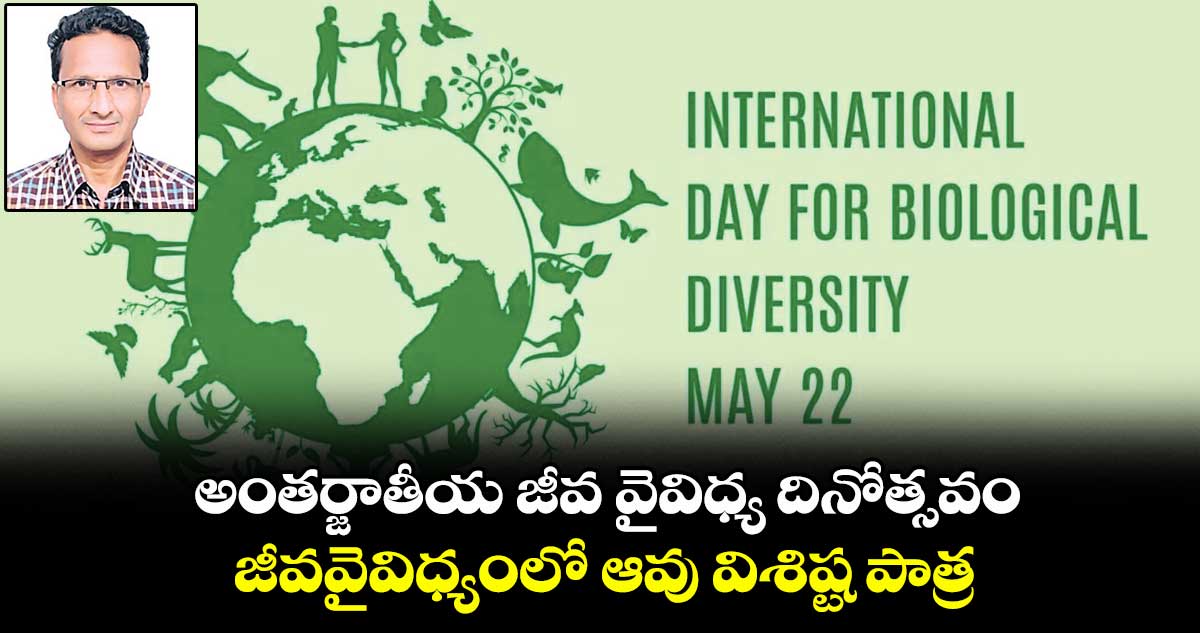 అంతర్జాతీయ జీవ వైవిధ్య దినోత్సవం.. జీవవైవిధ్యంలో ఆవు విశిష్ట పాత్ర